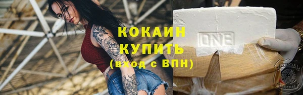 мдпв Инта