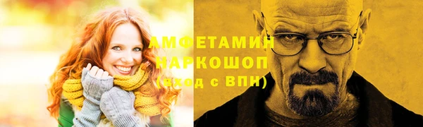 мдпв Инта