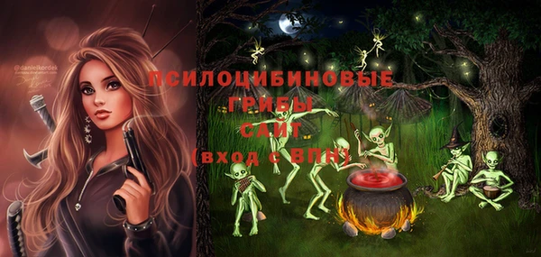 мдпв Инта