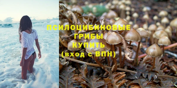 a pvp Иннополис