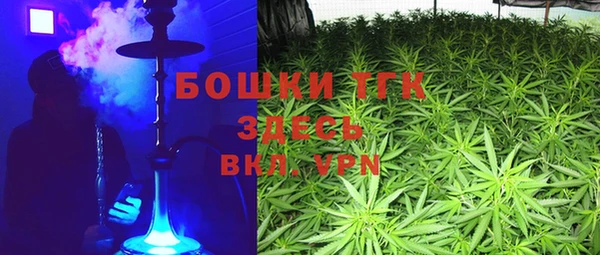 трава Новосибирск
