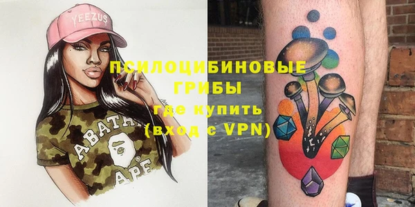 мдпв Инта