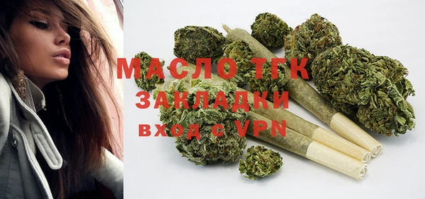 мдпв Инта