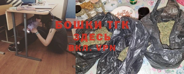 мдпв Инта
