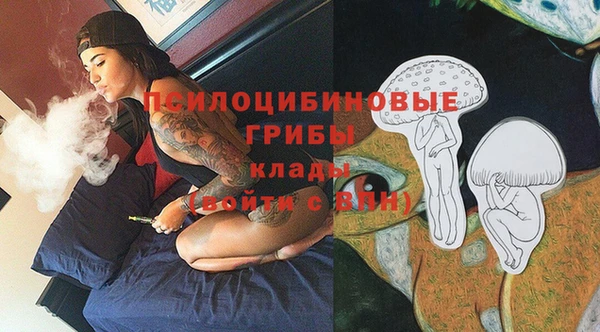 мдпв Инта