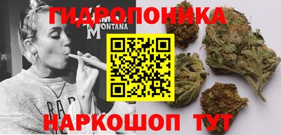тгк Кизляр