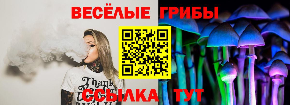 Галлюциногенные грибы Magic Shrooms  Вход с VPN  Канск  Галлюциногенные грибы MAGIC MUSHROOMS 